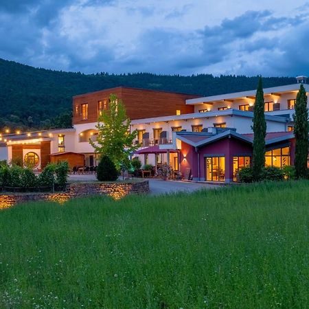 Main-Vinotel Weingut Helmstetter Buergstadt Екстериор снимка